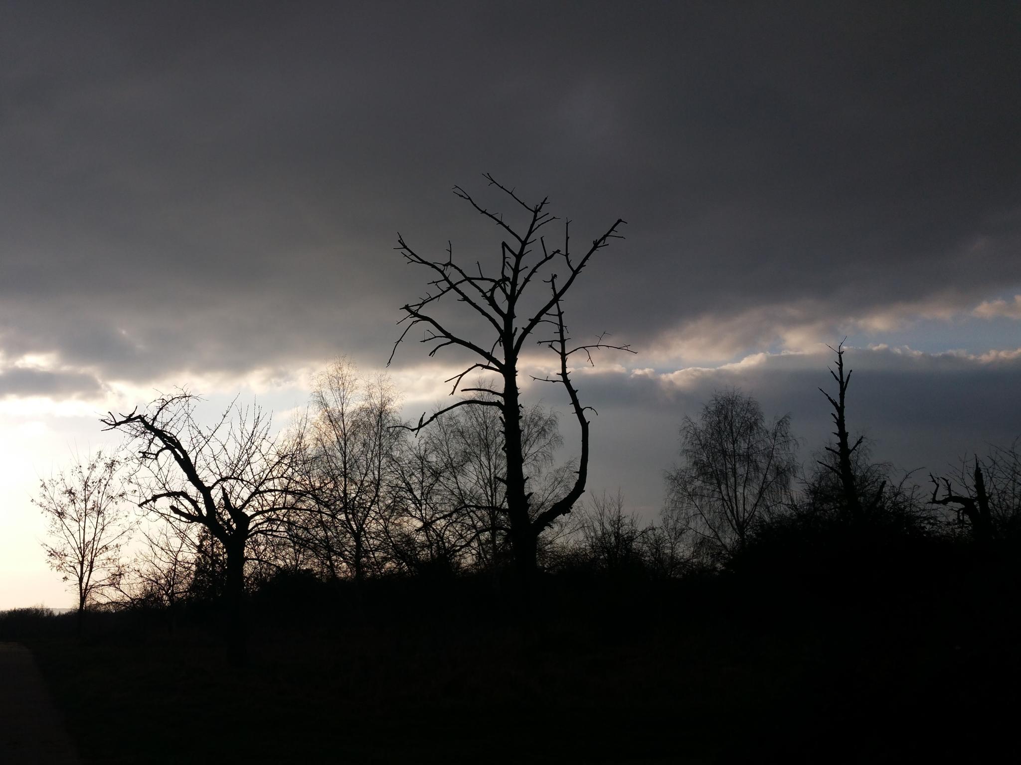 Angst