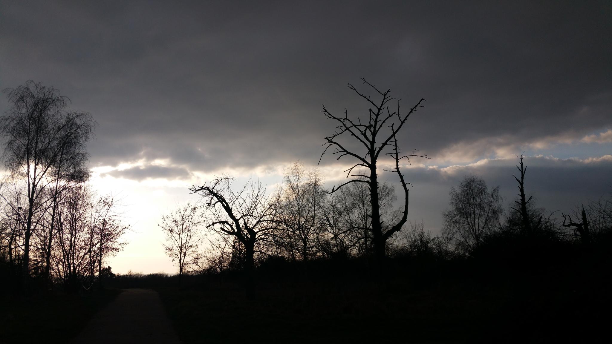 Angst