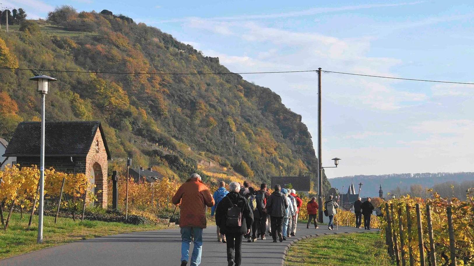 Die Pilgergruppe geht zwischen herbstlich gefärbten Weinfeldern über eine geteerte Straße Richtung Oberhammerstein.