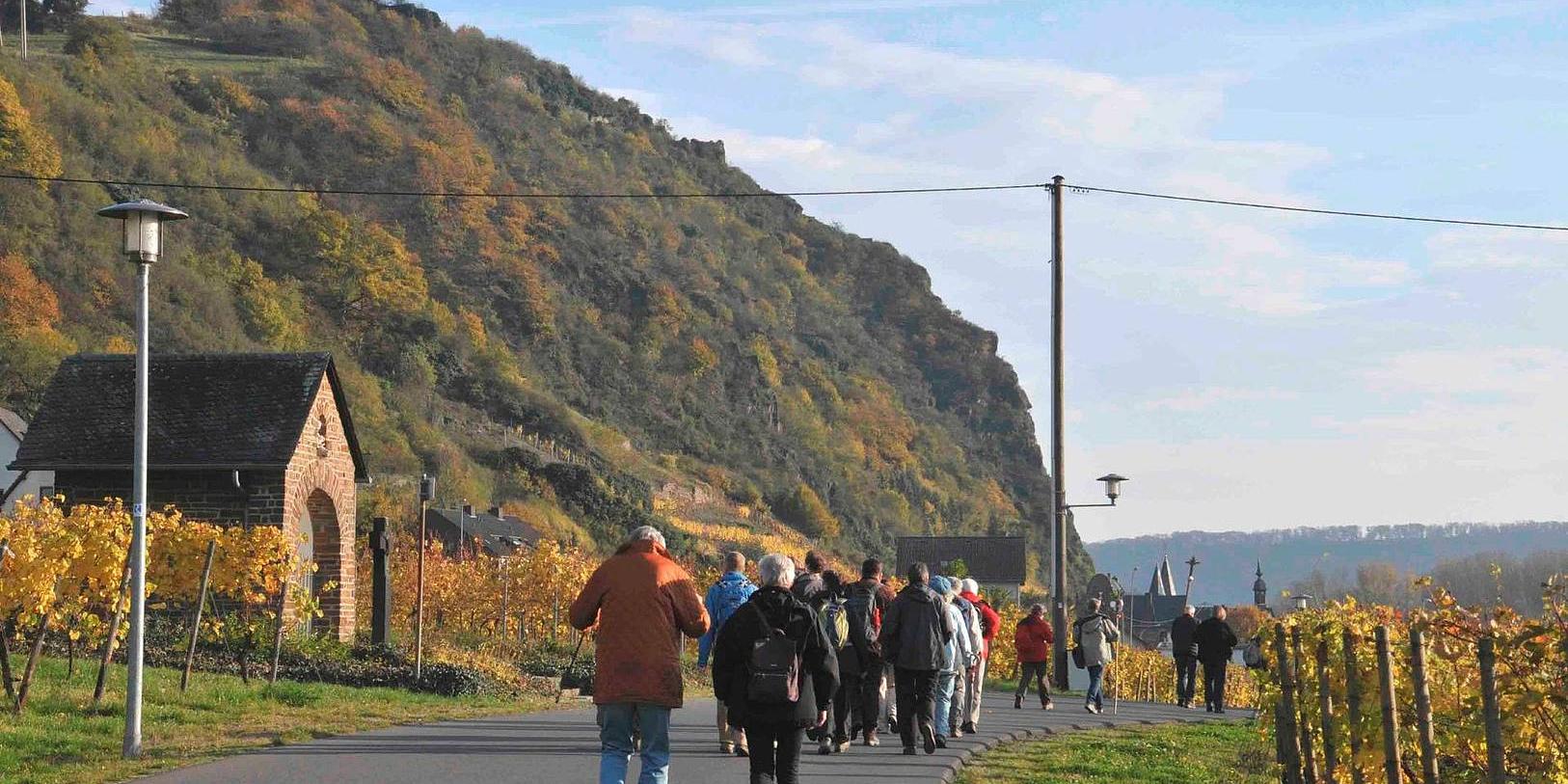 Die Pilgergruppe geht zwischen herbstlich gefärbten Weinfeldern über eine geteerte Straße Richtung Oberhammerstein. (c) Thomas Müller Die Pilgergruppe geht zwischen herbstlich gefärbten Weinfeldern über eine geteerte Straße Richtung Oberhammerstein.