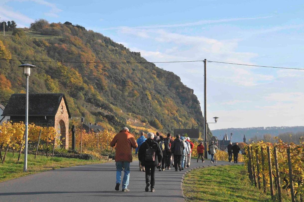 Die Pilgergruppe geht zwischen herbstlich gefärbten Weinfeldern über eine geteerte Straße Richtung Oberhammerstein.