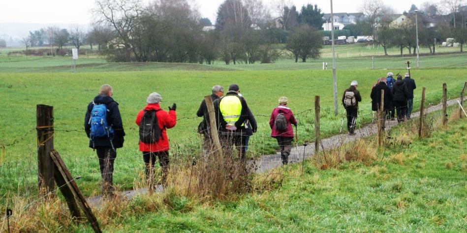 Die Pilgergruppe geht im hintereinander über einen Weg durch eingezäunte Weiden. (c) Elisabeth Bußmann Die Pilgergruppe geht im hintereinander über einen Weg durch eingezäunte Weiden.