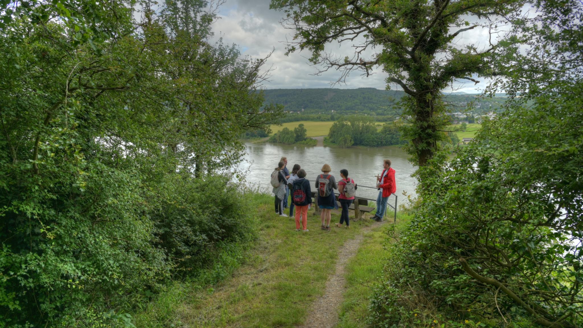 An einer kleinen Brüstung, eingerahmt von Bäumen und Büschen, blickt die Pilgergruppe über den Rhein.