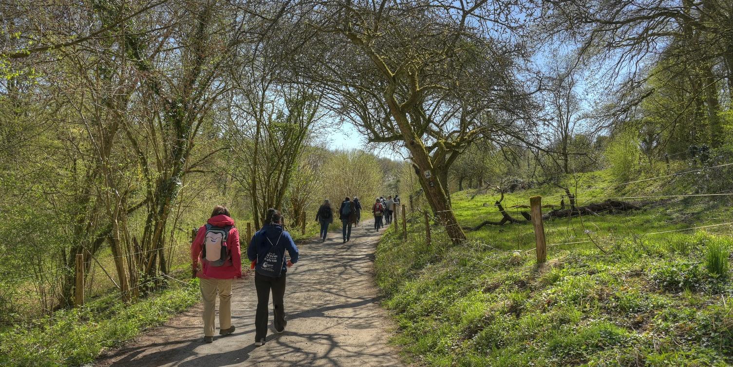 unterwegs zwischen Altwied und Niederbieber: Pilger*innen von hinten auf dem Weg.