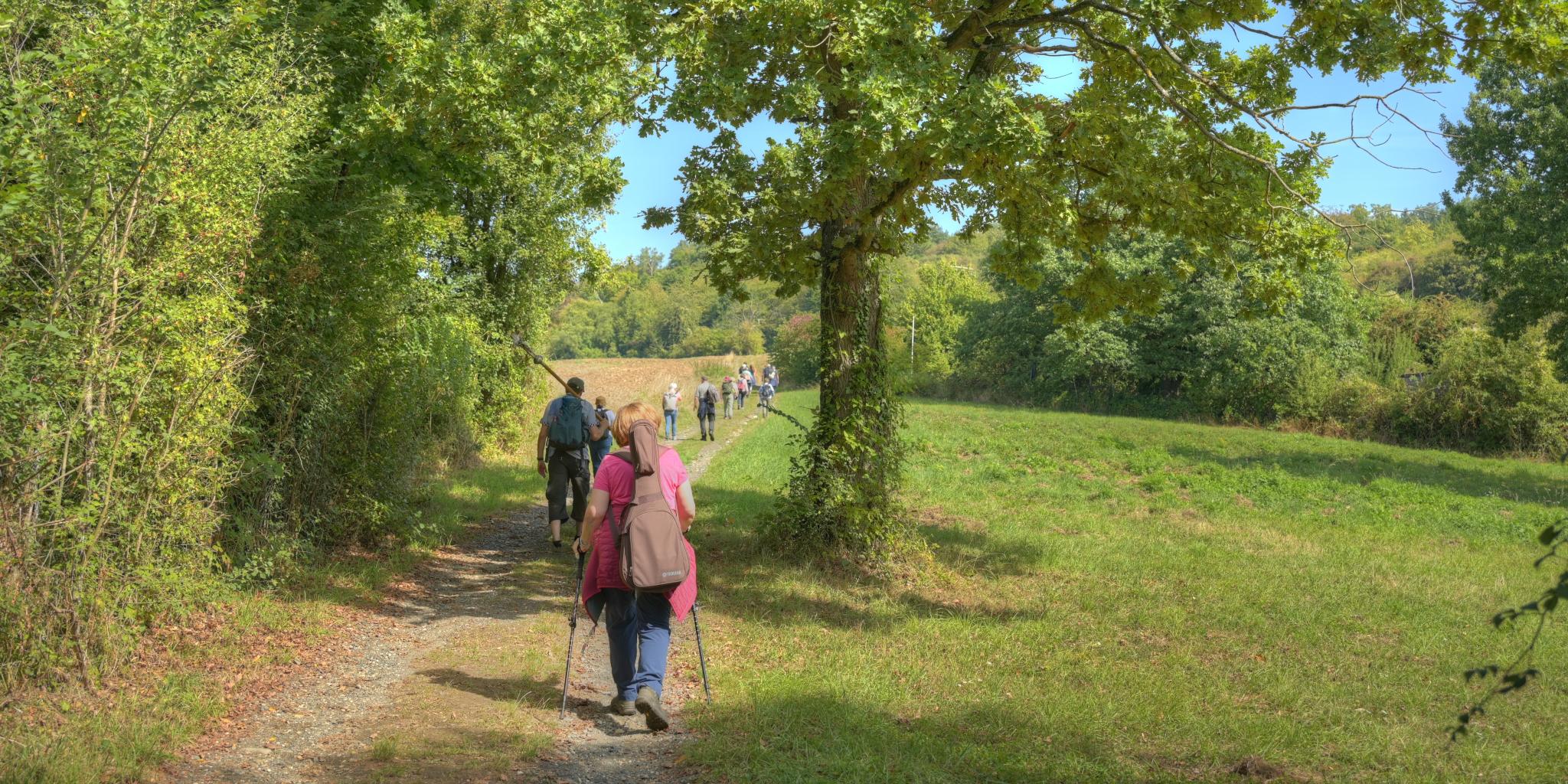 Die Pilger*innen sind auf einem Feldweg von hinten zu sehen. Der Weg wird gesäumt von Wiesen, Büschen und einem großen Baum. (c) Thomas Müller Die Pilger*innen sind auf einem Feldweg von hinten zu sehen. Der Weg wird gesäumt von Wiesen, Büschen und einem großen Baum.