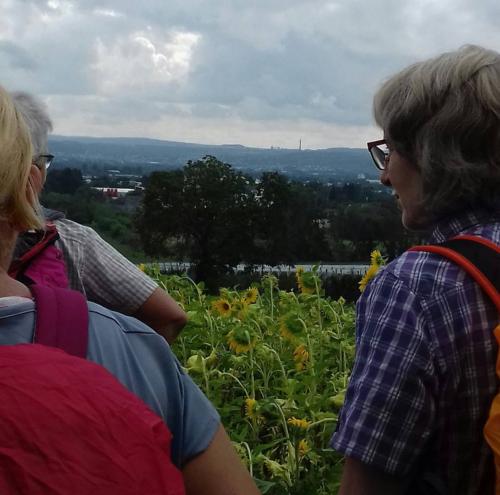 Blick zwischen den Pilgern hindurch und über Sonnenblumen hinweg zur Ruine des AKW Mülheim-Kärlich