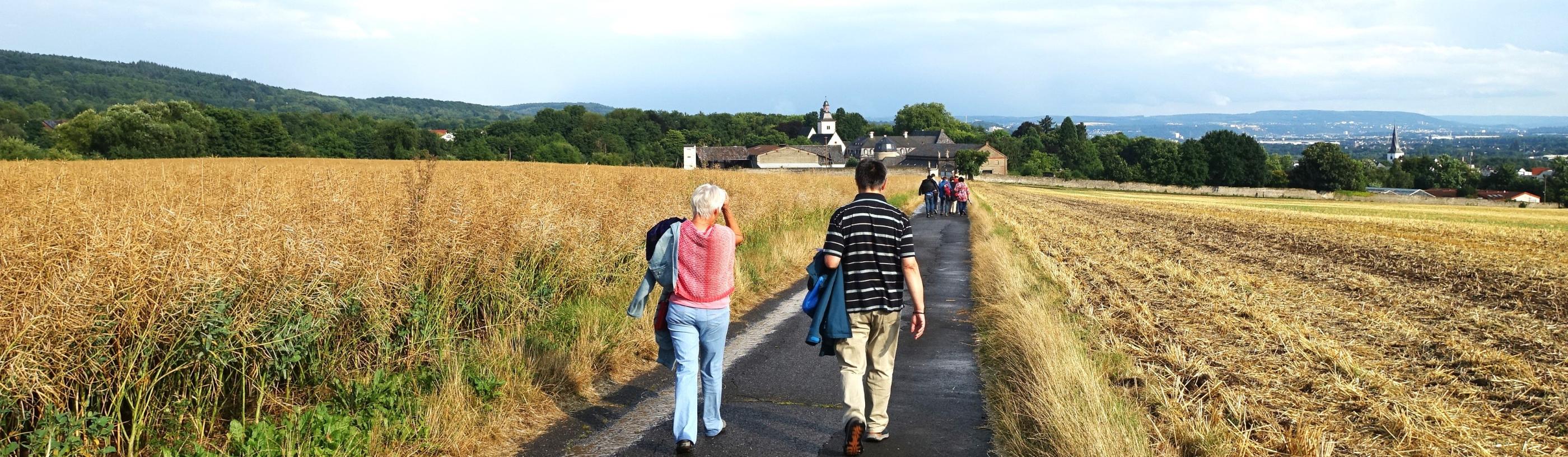 Martinsweg nach Rommersdorf