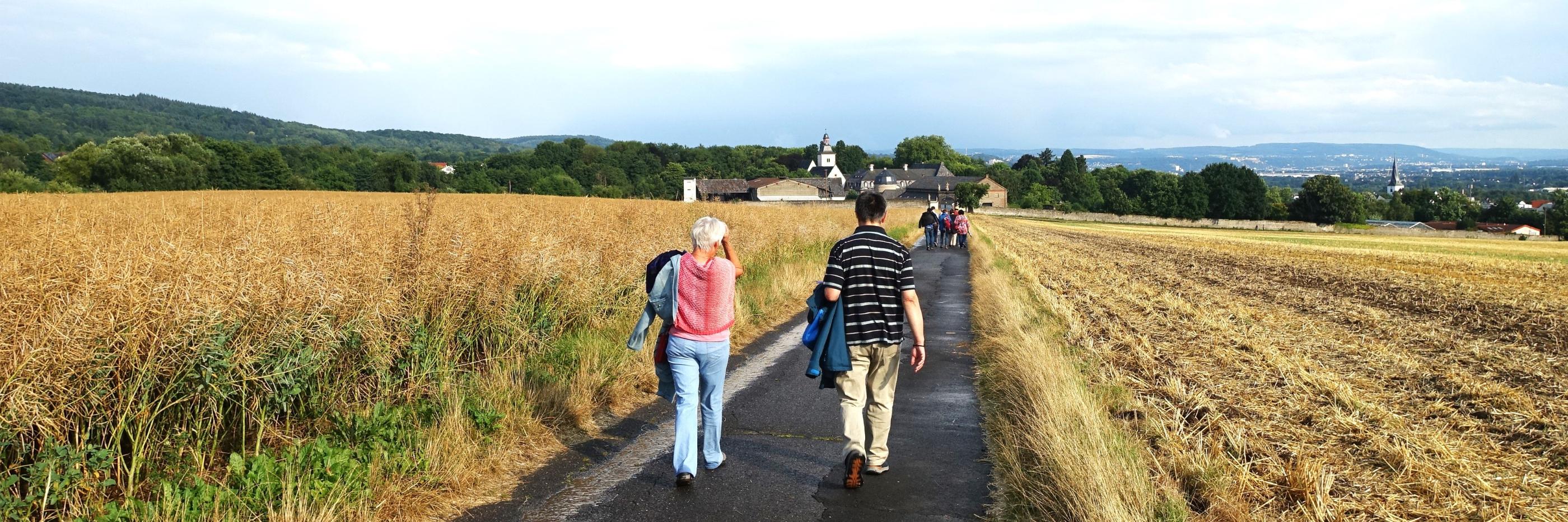 Martinsweg nach Rommersdorf